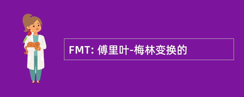 FMT: 傅里叶-梅林变换的