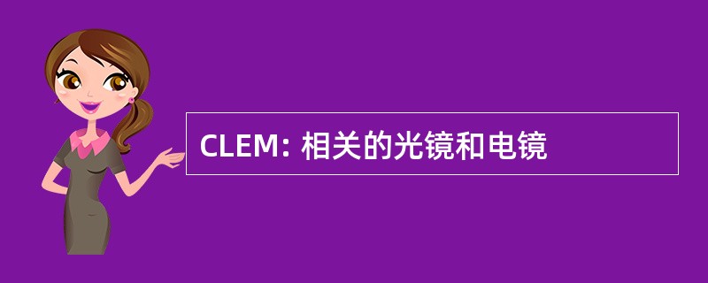 CLEM: 相关的光镜和电镜