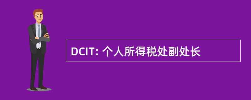 DCIT: 个人所得税处副处长