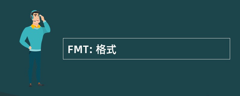 FMT: 格式