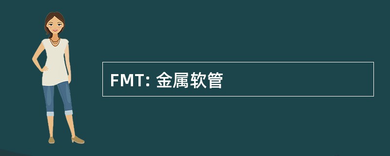 FMT: 金属软管