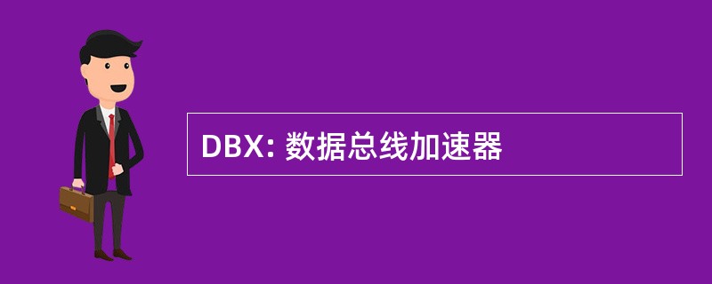 DBX: 数据总线加速器