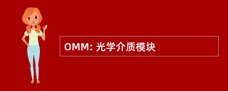 OMM: 光学介质模块