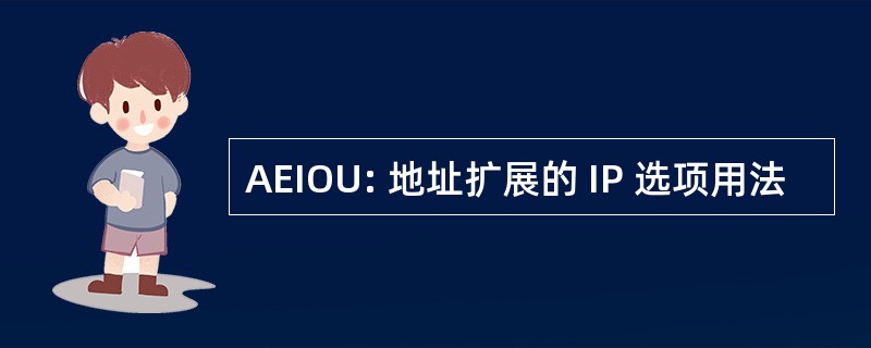 AEIOU: 地址扩展的 IP 选项用法