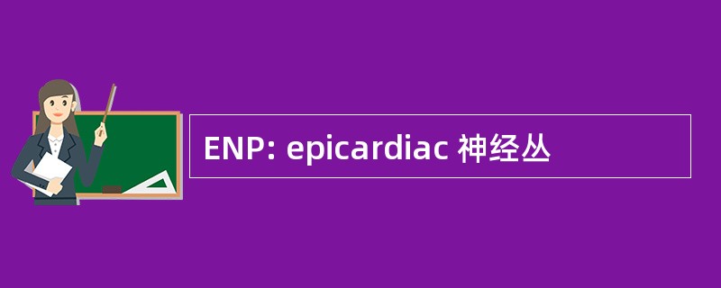 ENP: epicardiac 神经丛