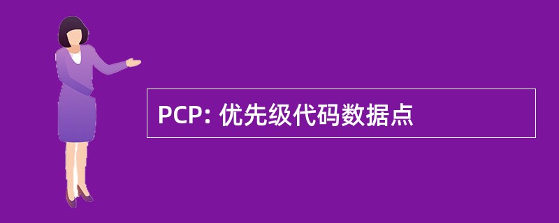 PCP: 优先级代码数据点