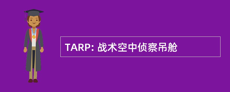 TARP: 战术空中侦察吊舱