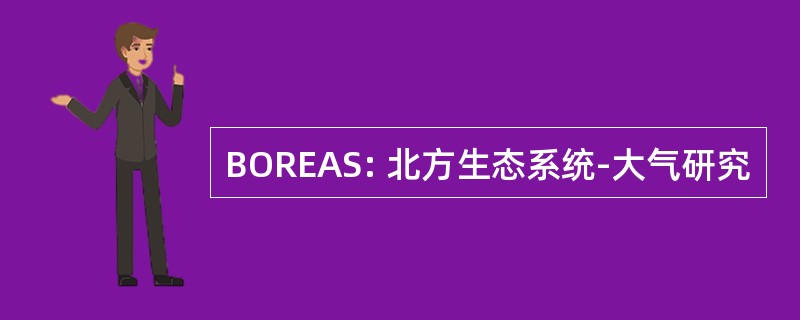 BOREAS: 北方生态系统-大气研究