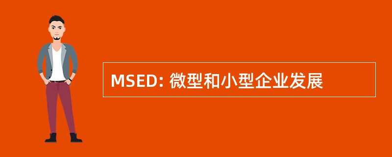 MSED: 微型和小型企业发展