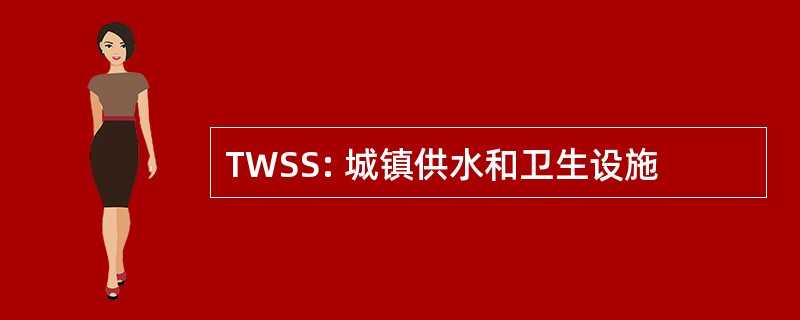 TWSS: 城镇供水和卫生设施