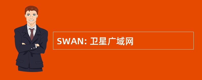 SWAN: 卫星广域网