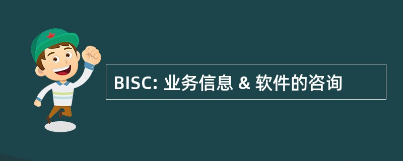 BISC: 业务信息 & 软件的咨询