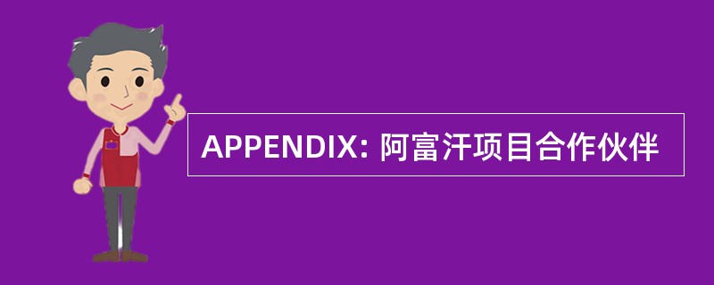 APPENDIX: 阿富汗项目合作伙伴