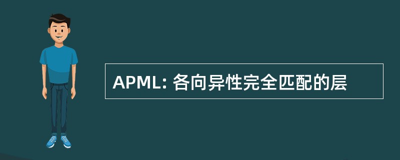 APML: 各向异性完全匹配的层