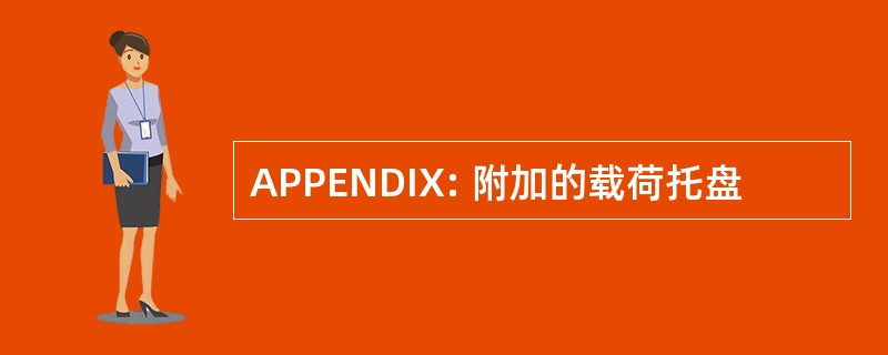 APPENDIX: 附加的载荷托盘