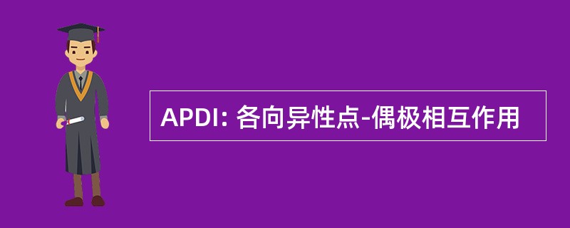 APDI: 各向异性点-偶极相互作用