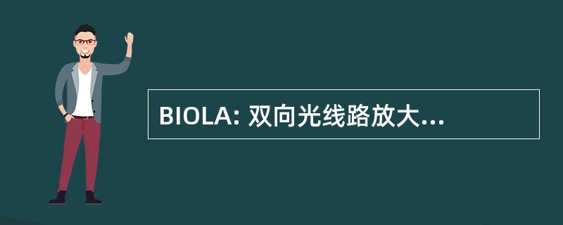 BIOLA: 双向光线路放大器 （Nortel）