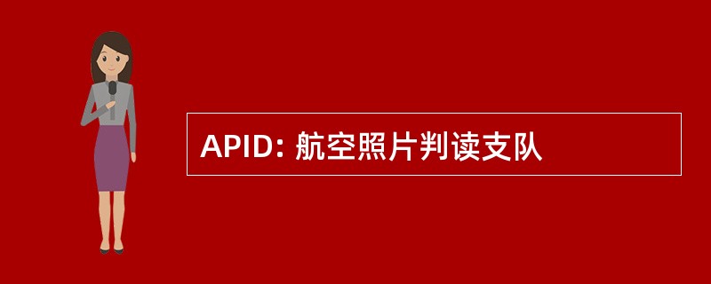 APID: 航空照片判读支队