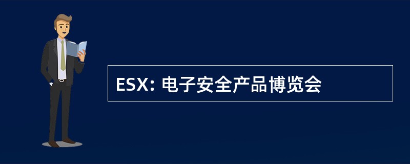 ESX: 电子安全产品博览会