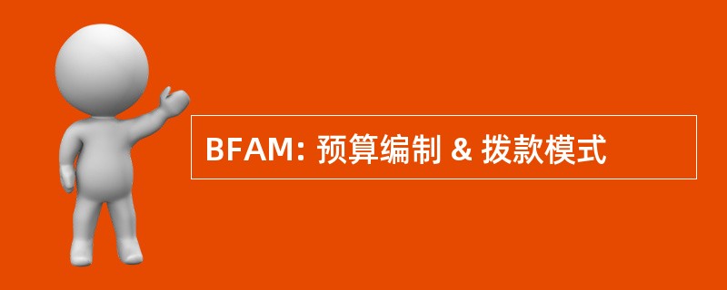 BFAM: 预算编制 & 拨款模式