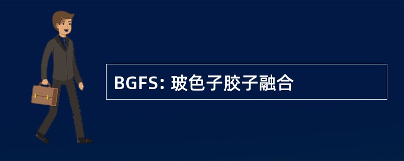 BGFS: 玻色子胶子融合