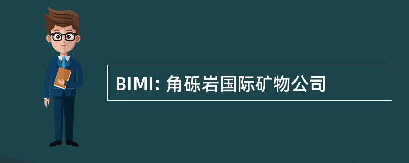 BIMI: 角砾岩国际矿物公司