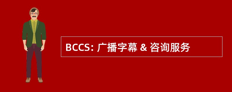 BCCS: 广播字幕 & 咨询服务