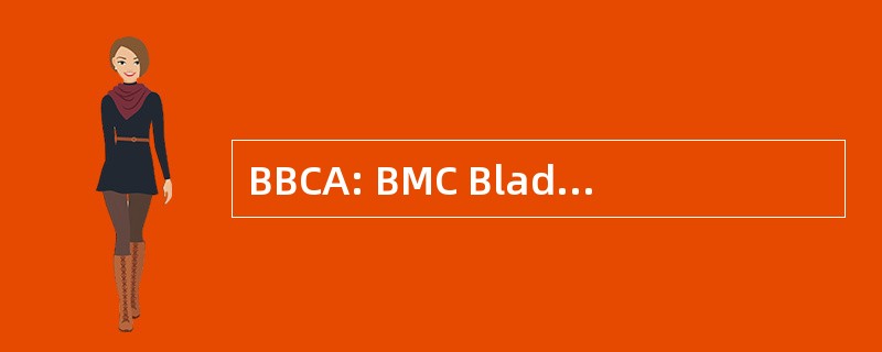 BBCA: BMC Bladelogic 客户端自动化