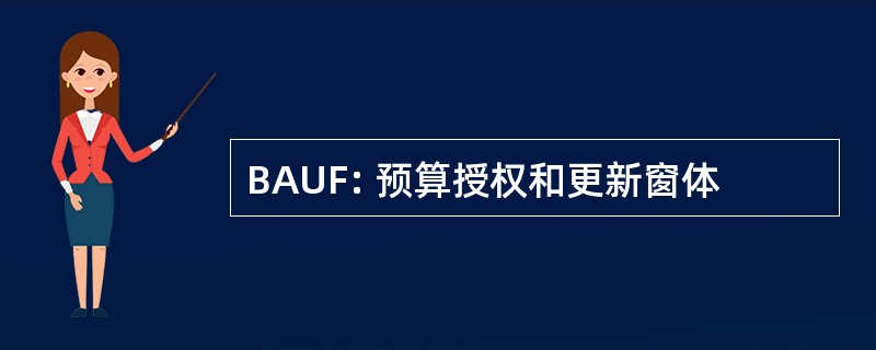 BAUF: 预算授权和更新窗体