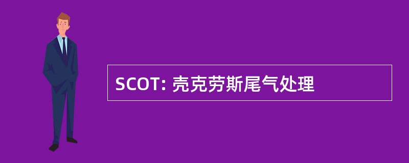 SCOT: 壳克劳斯尾气处理