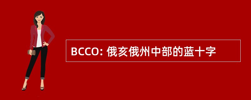 BCCO: 俄亥俄州中部的蓝十字