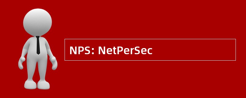 NPS: NetPerSec