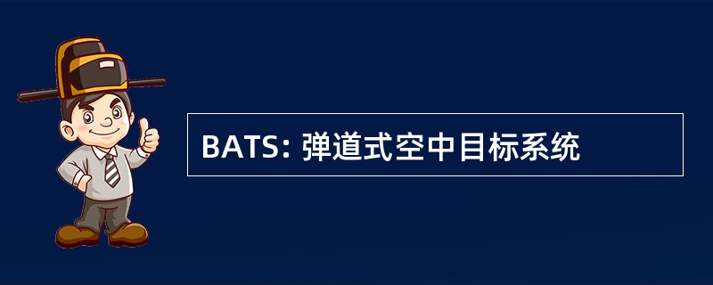 BATS: 弹道式空中目标系统