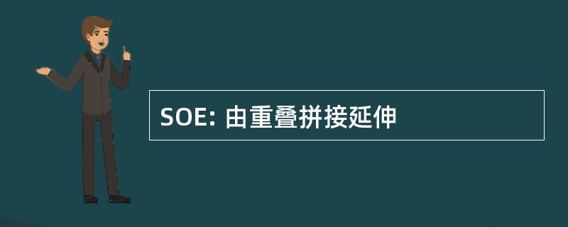 SOE: 由重叠拼接延伸