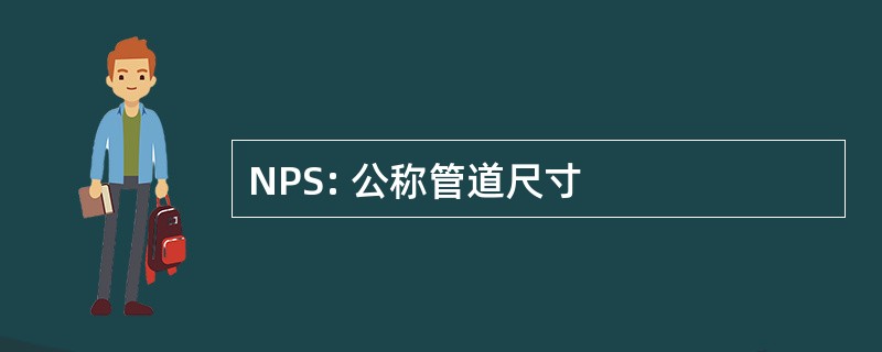 NPS: 公称管道尺寸