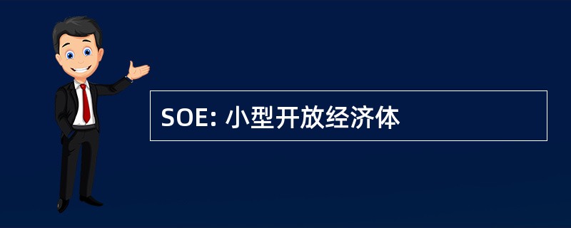 SOE: 小型开放经济体