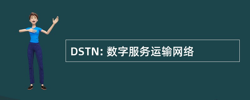 DSTN: 数字服务运输网络