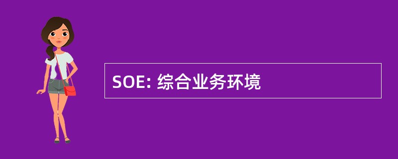 SOE: 综合业务环境