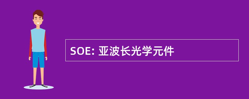 SOE: 亚波长光学元件