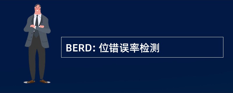 BERD: 位错误率检测