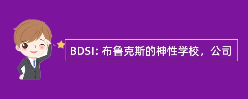 BDSI: 布鲁克斯的神性学校，公司