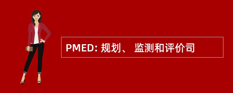 PMED: 规划、 监测和评价司