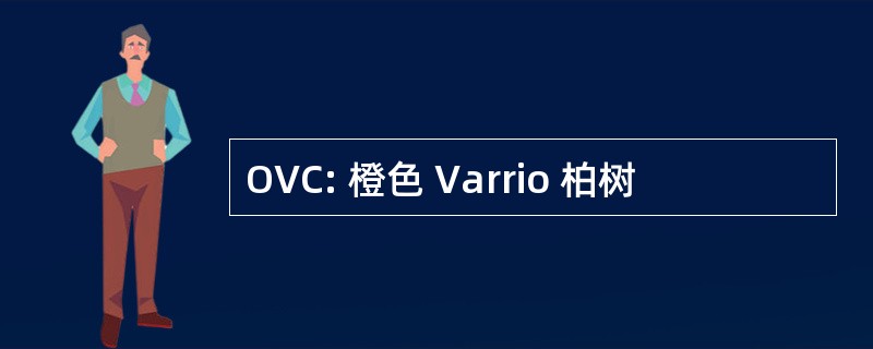 OVC: 橙色 Varrio 柏树