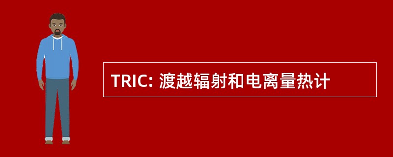 TRIC: 渡越辐射和电离量热计