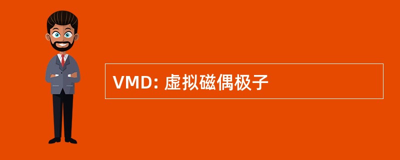 VMD: 虚拟磁偶极子