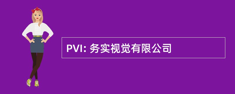 PVI: 务实视觉有限公司