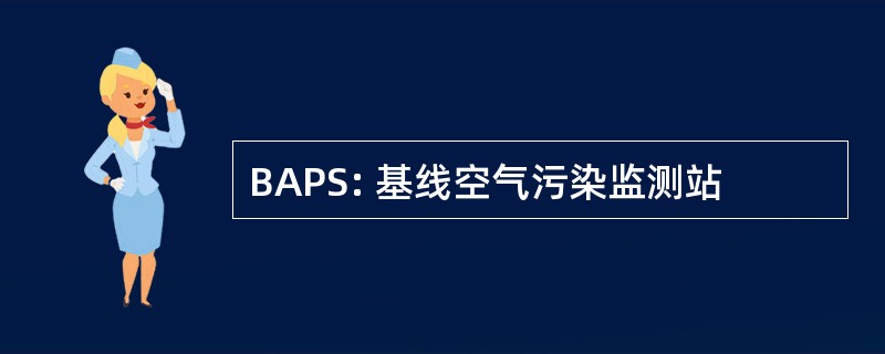 BAPS: 基线空气污染监测站