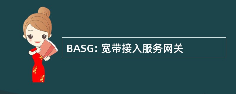 BASG: 宽带接入服务网关