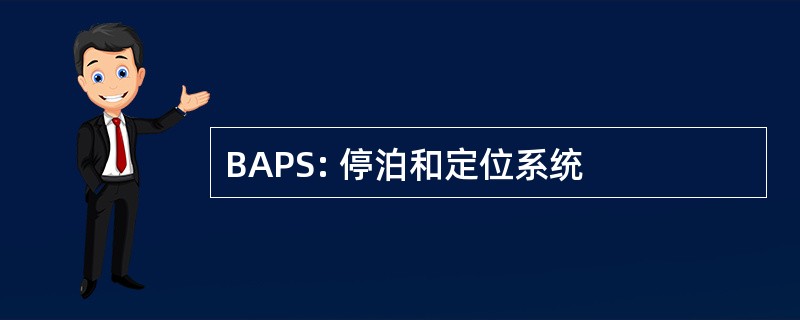 BAPS: 停泊和定位系统