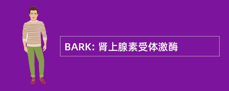 BARK: 肾上腺素受体激酶